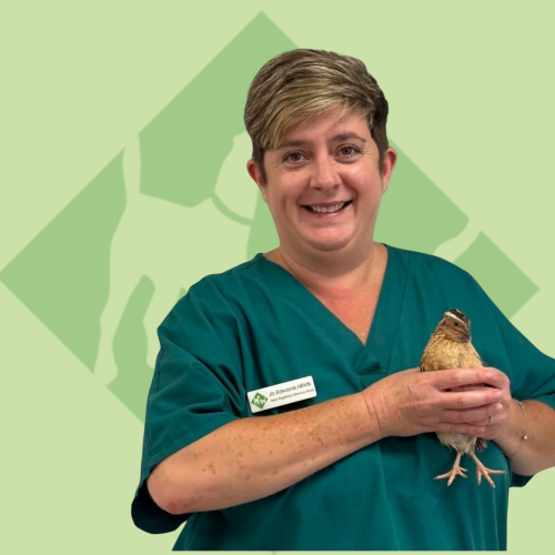 Jo RVN Head Nurse