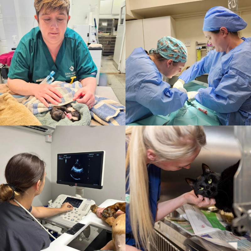 Arthur-Lodge-About-us-image-800x800